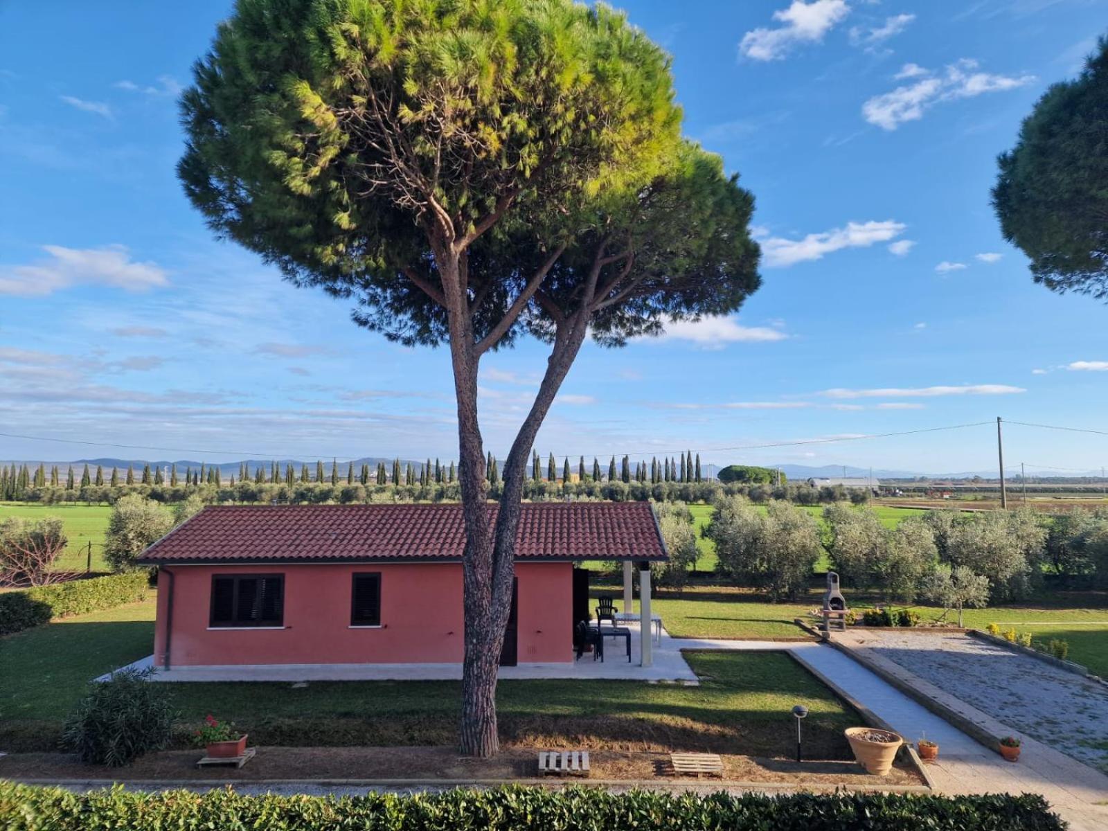 Agriturismo Nonno Gino - Charme&Relax Пьомбино Екстериор снимка